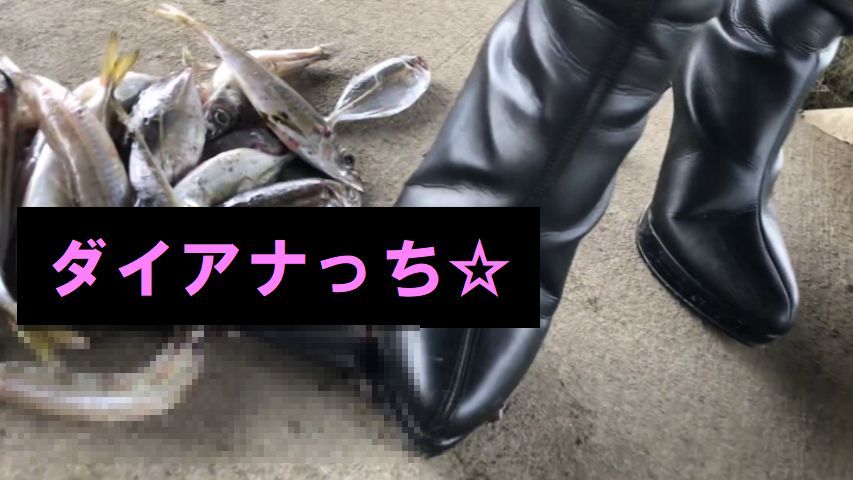 クラッシュ動画　魚の踏みつぶし　屋外編　【私物のブーツ】