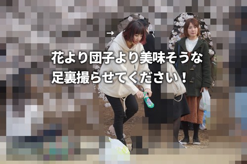 花より団子より美味そうな足裏撮らせてください! 花より団子より美味そうな足裏撮らせてください!