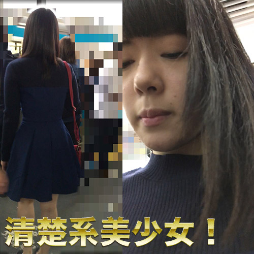 痴漢記録日記36 痴漢記録日記36